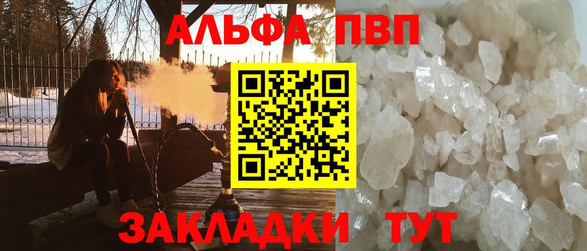 A PVP СК КРИС Шадринск