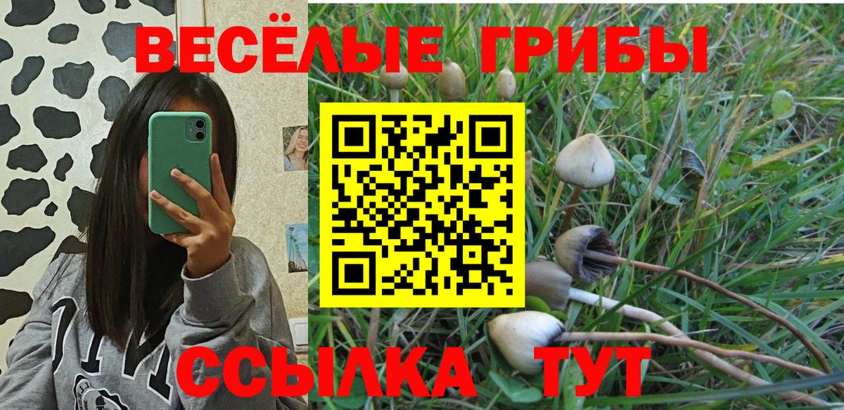 Галлюциногенные грибы мицелий Шадринск